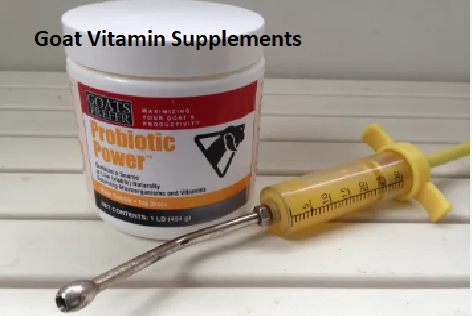 Goat Vitamin Supplements Goat Vitamin Supplements