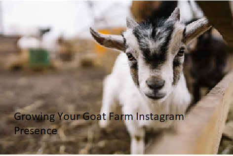 Growing Your Goat Farm Instagram Presence Growing Your Goat Farm Instagram Presence