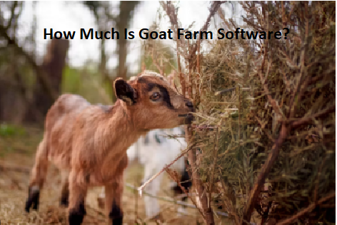 How Much Is Goat Farm Software? How Much Is Goat Farm Software?