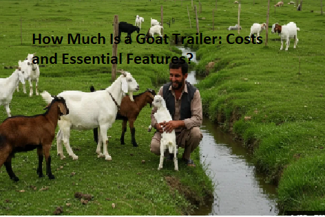 How Much Is a Goat Trailer: Costs and Essential Features? How Much Is a Goat Trailer: Costs and Essential Features?