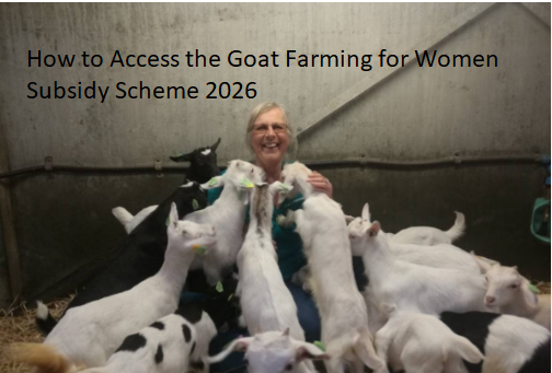 How to Access the Goat Farming for Women Subsidy Scheme 2026 How to Access the Goat Farming for Women Subsidy Scheme 2026