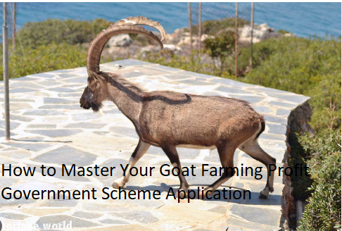 How to Master Your Goat Farming Profit Government Scheme Application