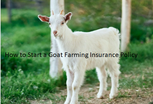 How to Start a Goat Farming Insurance Policy