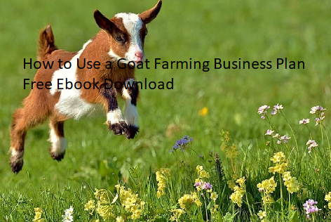 How to Use a Goat Farming Business Plan Free Ebook Download How to Use a Goat Farming Business Plan Free Ebook Download
