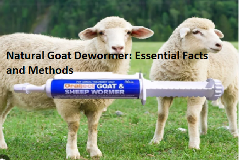 Natural Goat Dewormer: Essential Facts and Methods Natural Goat Dewormer: Essential Facts and Methods