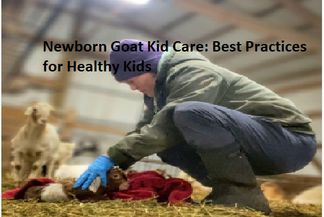Newborn Goat Kid Care: Best Practices for Healthy Kids Newborn Goat Kid Care: Best Practices for Healthy Kids