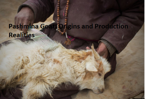 Pashmina Goat: Origins and Production Realities Pashmina Goat: Origins and Production Realities