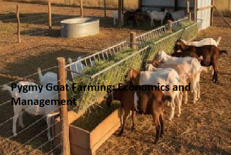 Pygmy Goat Farming: Economics and Management Pygmy Goat Farming: Economics and Management