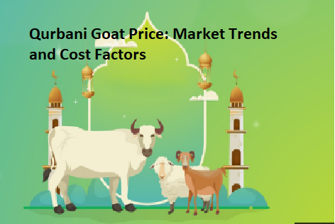 Qurbani Goat Price: Market Trends and Cost Factors Qurbani Goat Price: Market Trends and Cost Factors
