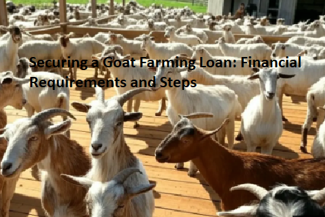 Securing a Goat Farming Loan: Financial Requirements and Steps Securing a Goat Farming Loan: Financial Requirements and Steps