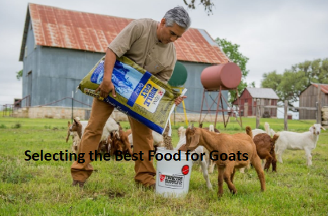 Selecting the Best Food for Goats Selecting the Best Food for Goats