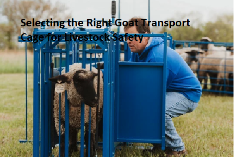 Selecting the Right Goat Transport Cage for Livestock Safety Selecting the Right Goat Transport Cage for Livestock Safety
