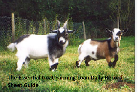 The Essential Goat Farming Loan Daily Record Sheet Guide