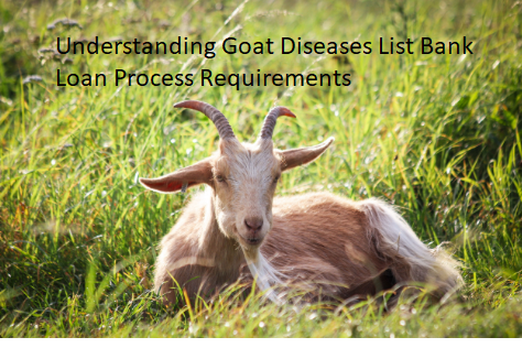 Understanding Goat Diseases List Bank Loan Process Requirements Understanding Goat Diseases List Bank Loan Process Requirements