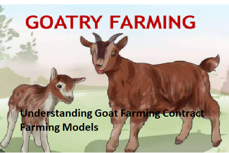 Understanding Goat Farming Contract Farming Models Understanding Goat Farming Contract Farming Models