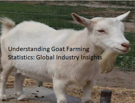 Understanding Goat Farming Statistics: Global Industry Insights Understanding Goat Farming Statistics: Global Industry Insights