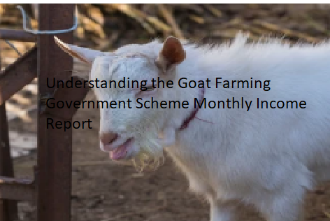 Understanding the Goat Farming Government Scheme Monthly Income Report Understanding the Goat Farming Government Scheme Monthly Income Report