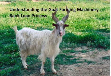 Understanding the Goat Farming Machinery Bank Loan Process