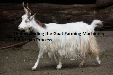 Understanding the Goat Farming Machinery Bank Loan Process