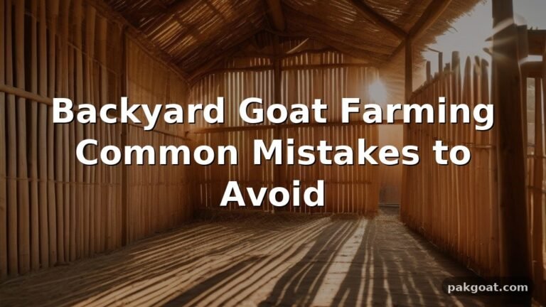 Backyard Goat Farming Common Mistakes to Avoid