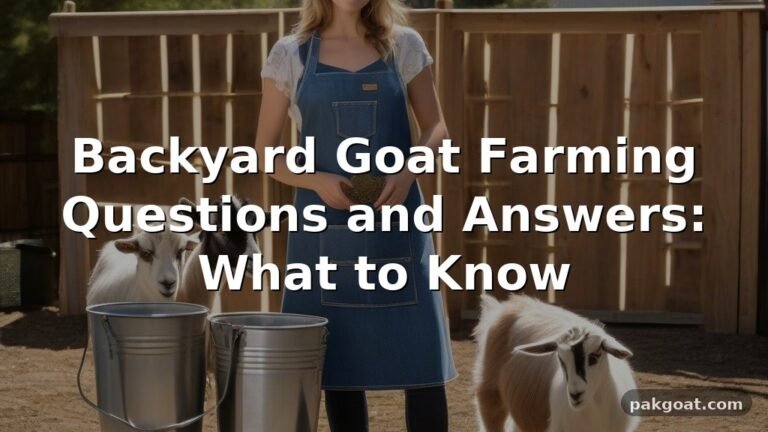 Backyard Goat Farming Questions and Answers: What to Know