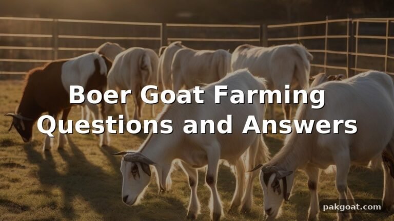 Boer Goat Farming Questions and Answers