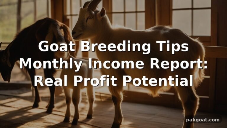 Goat Breeding Tips Monthly Income Report: Real Profit Potential