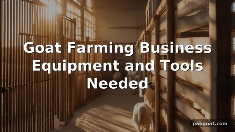 Goat Farming Business Equipment and Tools Needed