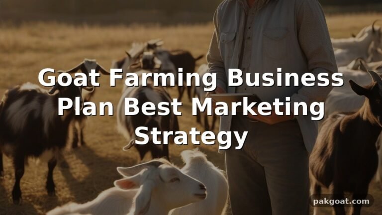Goat Farming Business Plan Best Marketing Strategy
