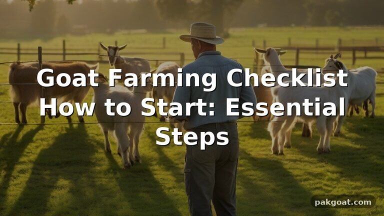 Goat Farming Checklist How to Start: Essential Steps
