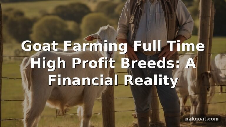 Goat Farming Full Time High Profit Breeds: A Financial Reality