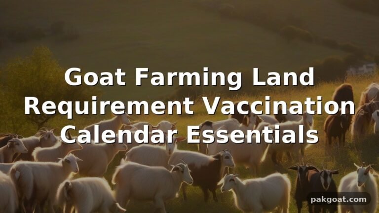 Goat Farming Land Requirement Vaccination Calendar Essentials
