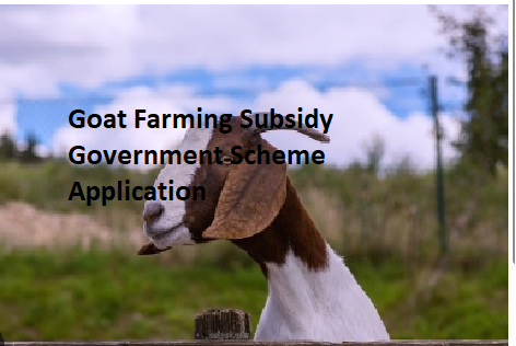 Goat Farming Subsidy Government Scheme Application Goat Farming Subsidy Government Scheme Application