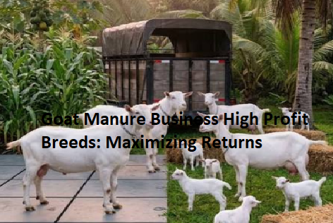 Goat Manure Business High Profit Breeds: Maximizing Returns Goat Manure Business High Profit Breeds: Maximizing Returns