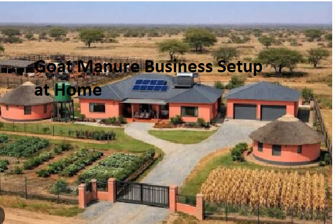Goat Manure Business Setup at Home Goat Manure Business Setup at Home