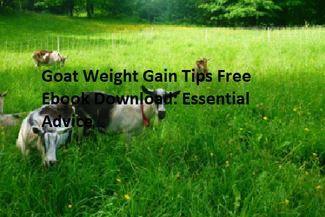 Goat Weight Gain Tips Free Ebook Download: Essential Advice Goat Weight Gain Tips Free Ebook Download: Essential Advice
