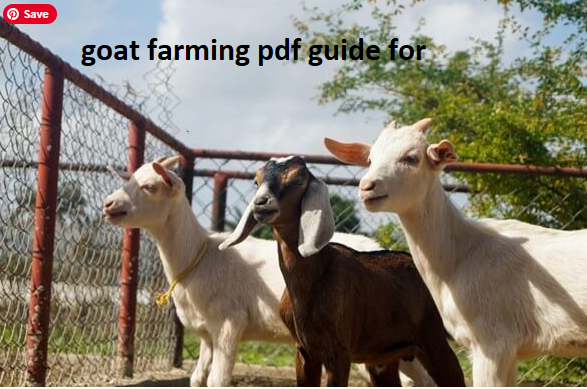 goat farming pdf guide for