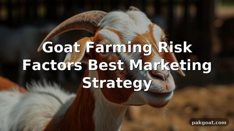 Goat Farming Risk Factors Best Marketing Strategy