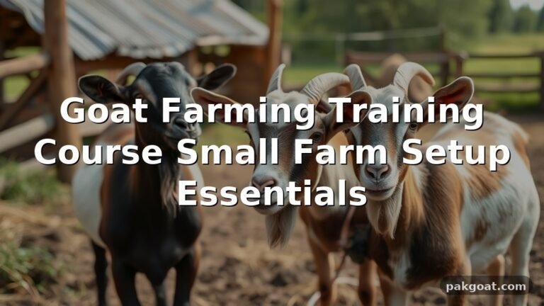 Goat Farming Training Course Small Farm Setup Essentials