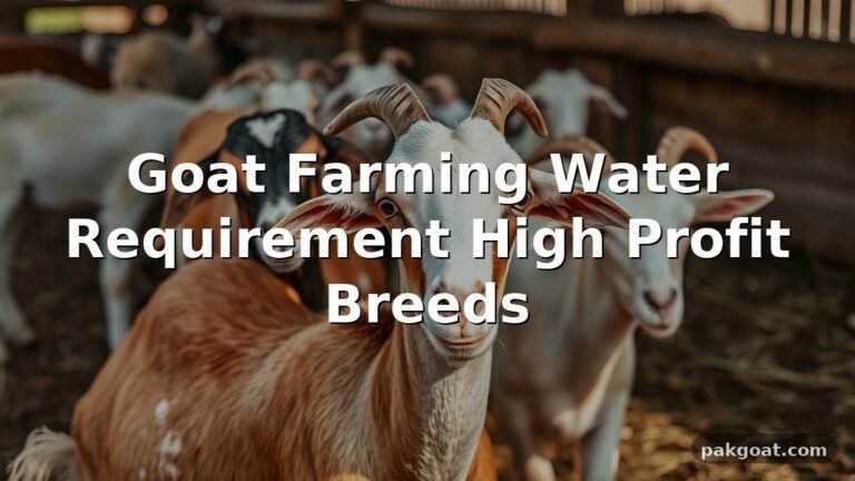Goat Farming Water Requirement High Profit Breeds